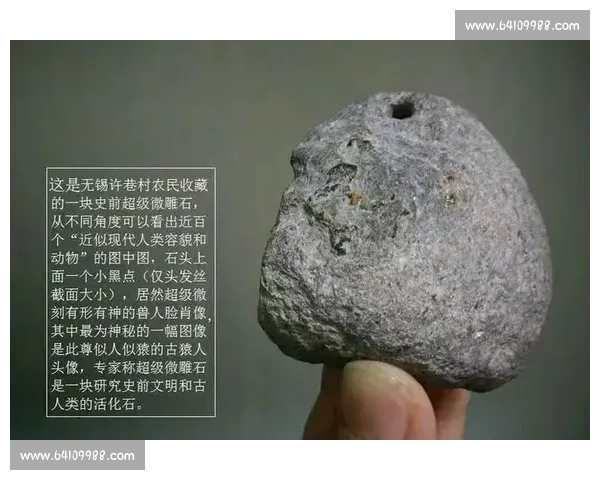 海港临时移师 白玉碗 备战，专业场地助力冲刺关键赛程